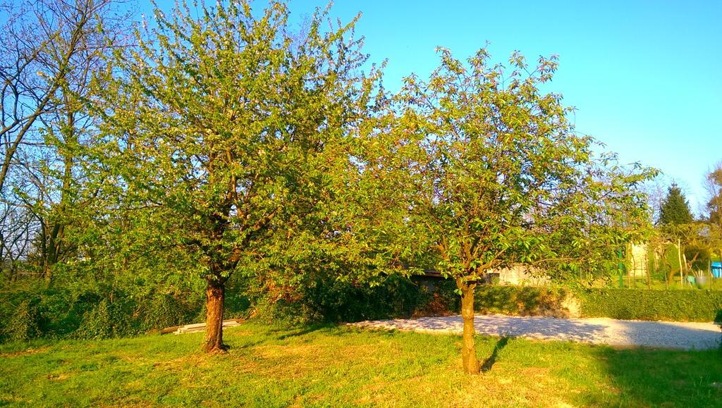 Vinago Belvedere Mornago